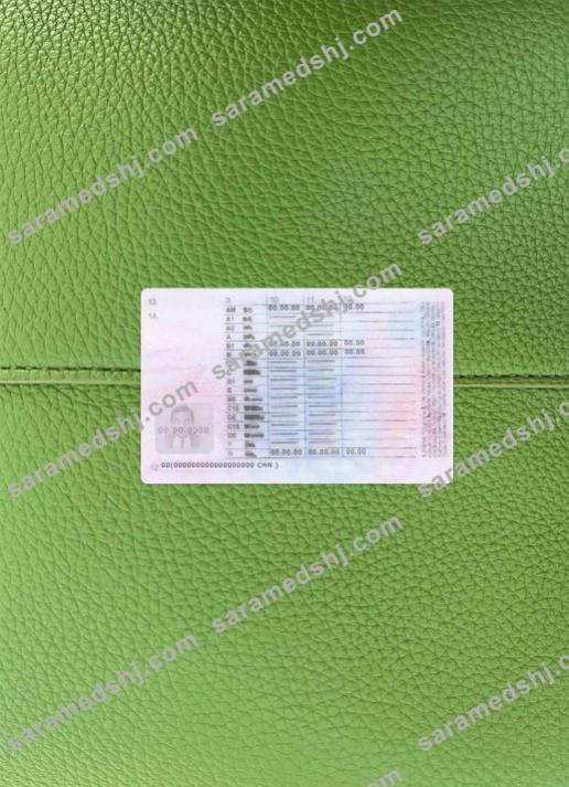 Slovenia driving license photolook BACK